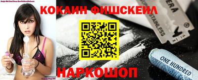 крисы Кингисепп