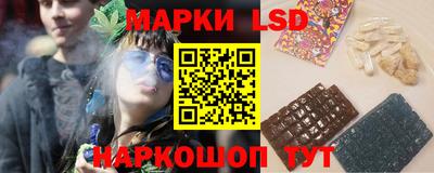 крисы Кингисепп