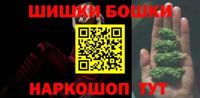 крисы Кингисепп