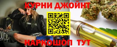 крисы Кингисепп