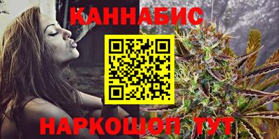 крисы Кингисепп