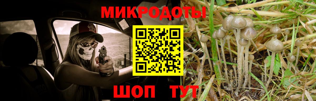 Куйбышев  Галлюциногенные грибы мухоморы  Вход с VPN 