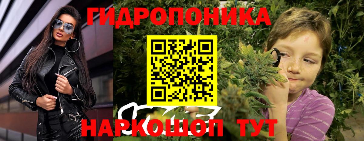 Шишки марихуана план Куйбышев